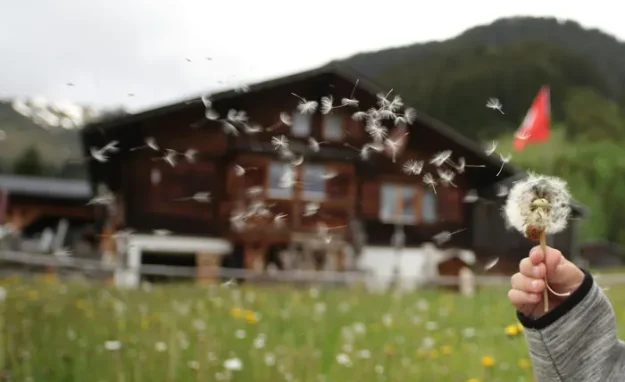 Tecnología neumática