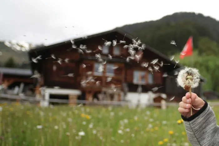 Tecnología neumática