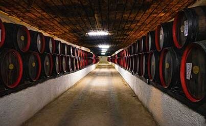 Generadores N2 para bodegas